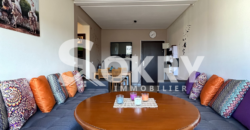 appartement a vendre