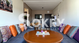 appartement a vendre