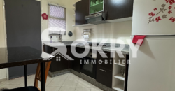 appartement a vendre
