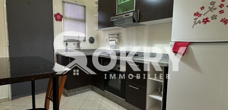 appartement a vendre