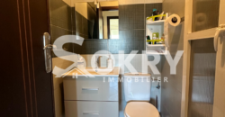 appartement a vendre