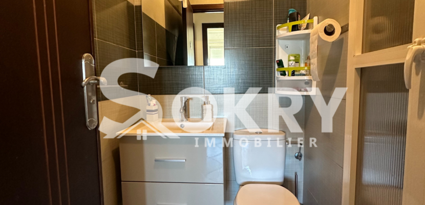 appartement a vendre